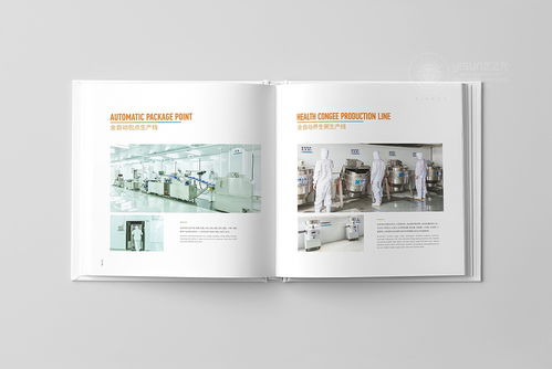 視覺鑄就品牌，展示創造價值——鮮譽企業形象與品牌展示服務全解析